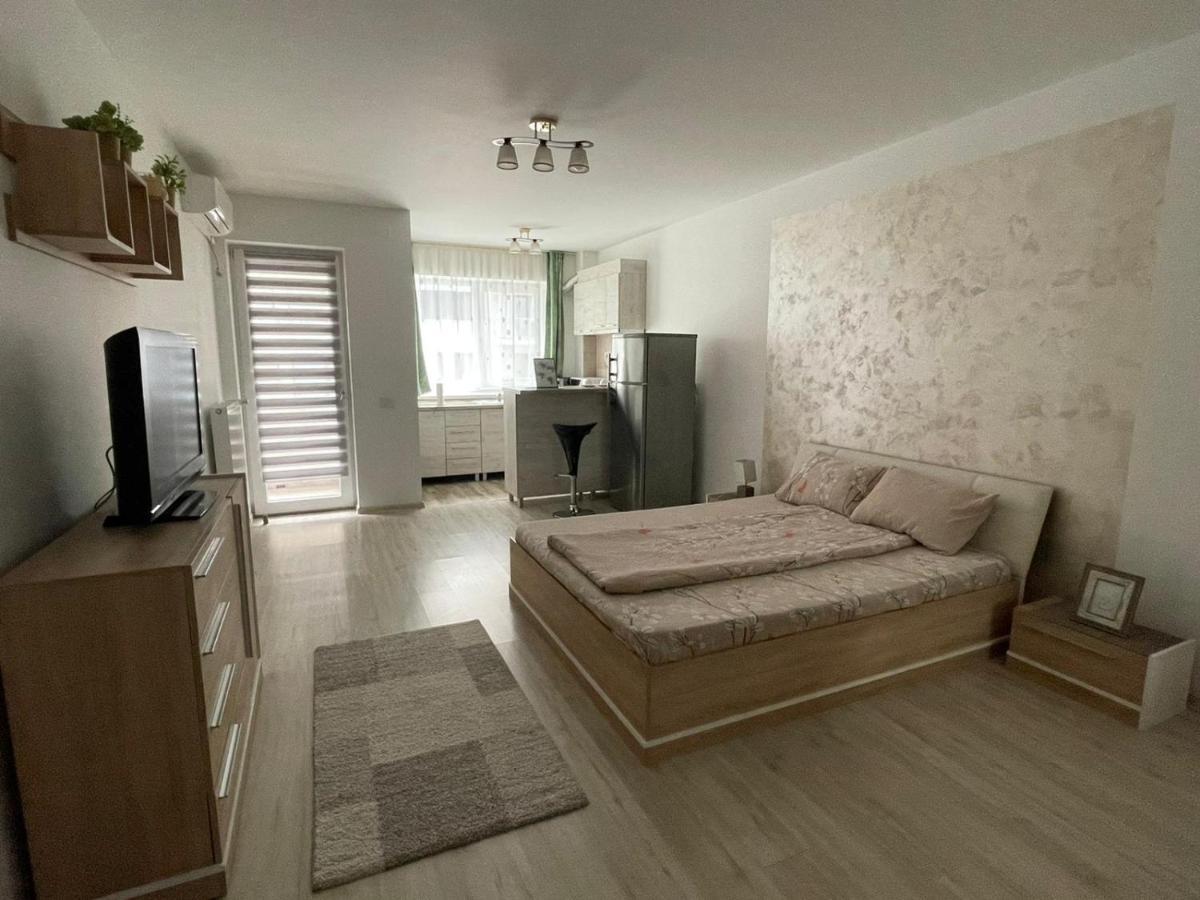 Hanna'S Apartament Nagyvárad Kültér fotó